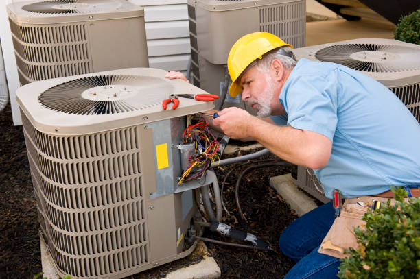 Best Best HVAC Companies  in Wolf Lake, MI